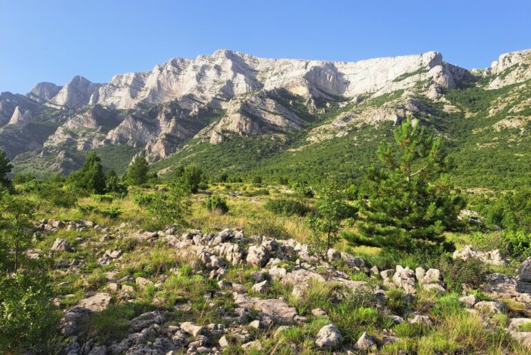 Vrhovi Dinare